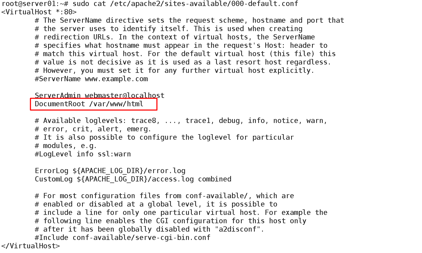 image-20240803115648453